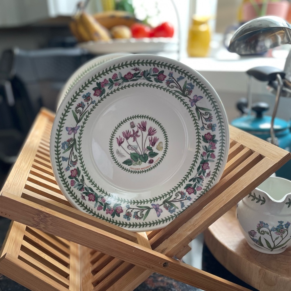 Portmeirion Variations by Susan Williams  Ellis Salad Plates